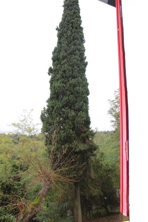Il Vecchio Cipresso Lejlighed San Gimignano Eksteriør billede